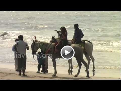 Mandvi Beach, Kutch, Gujarat, India, Video