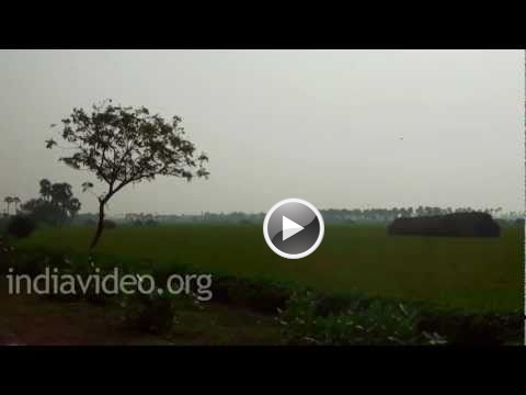 Kuchipudi Village, Krishna District, Andhra Pradesh, India, Video